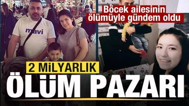 2 milyarlık ölüm pazarı! Böcek ailesinin ölümünün ardından gündem oldu