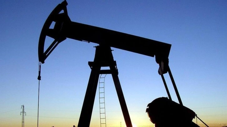2023'te en çok tüketilen enerji kaynağı belli oldu!