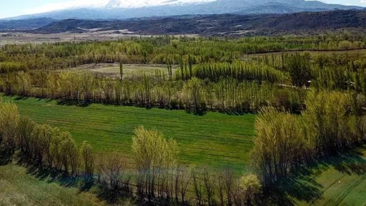 2B arazilerinde tapu süreci nasıl olacak? Detaylar belli oldu