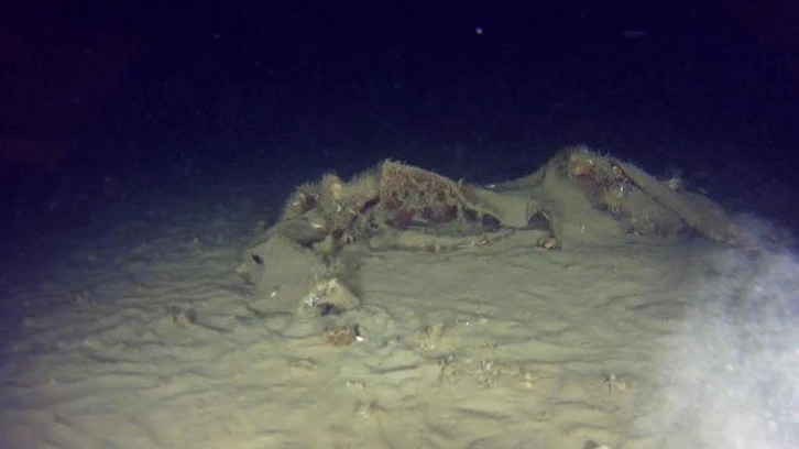 42 kişi hayatını kaybetmişti! D&uuml;şen THY u&ccedil;ağında yeni gelişme: 50 yıl sonra ortaya &ccedil;ıktı