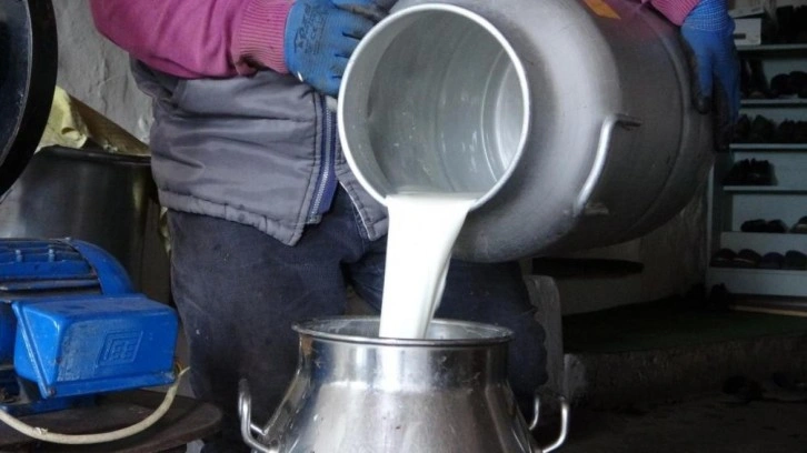 Ardahan'da süt üreticileri düşük fiyatlardan şikâyetçi
