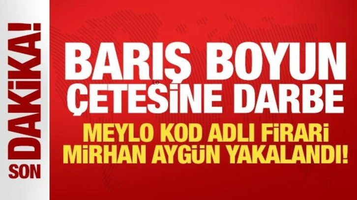 Barış Boyun &ccedil;etesine darbe: Meylo kod adlı firari Mirhan Ayg&uuml;n yakalandı!
