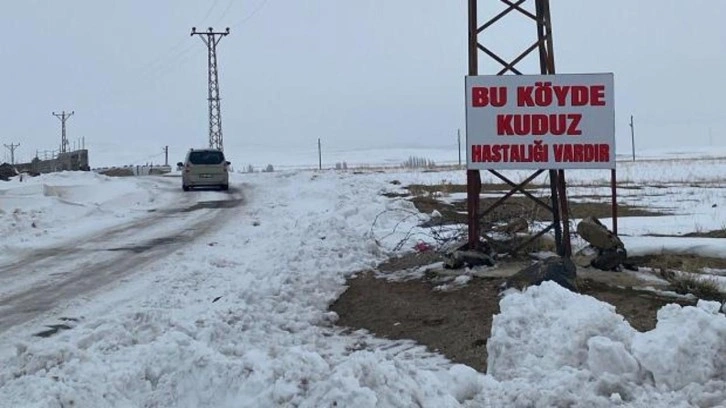 Bitlis'te kuduz alarmı: Bir k&ouml;y karantinaya alındı