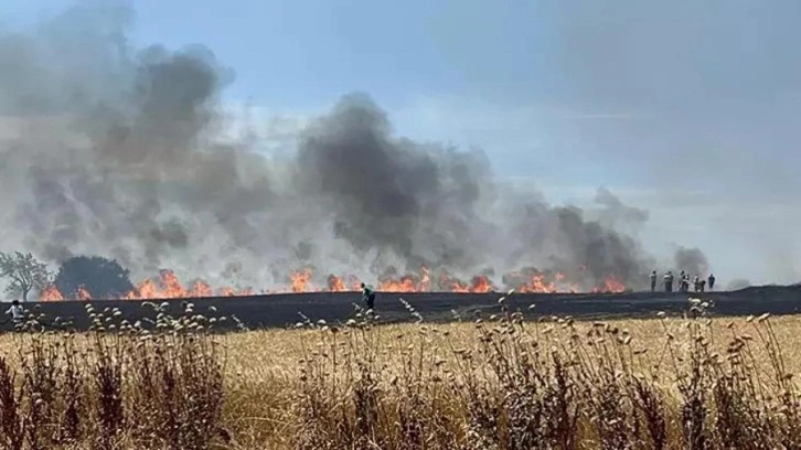 Bursa'da anız yangınında alevler zeytinliğe sıçradı