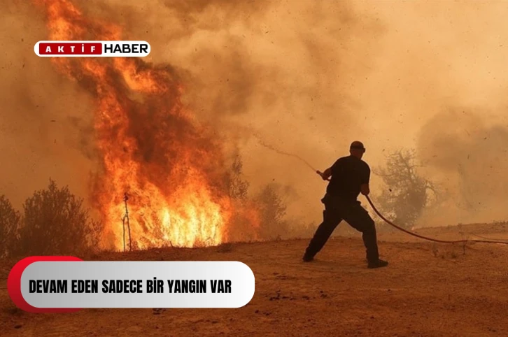  Bursa’da orman yangını