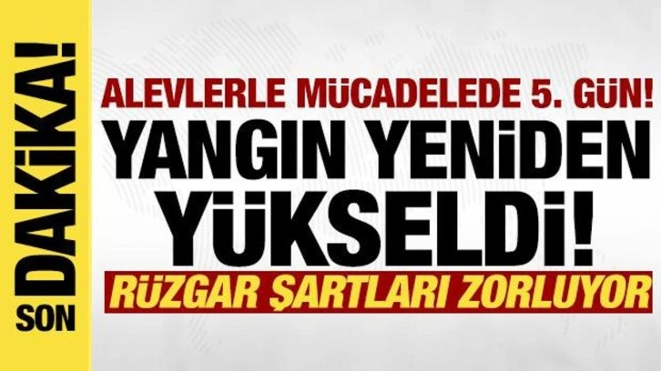 Bursa'da yangın 5. gününde! Alevler yeniden yükseldi, müdahale sürüyor!