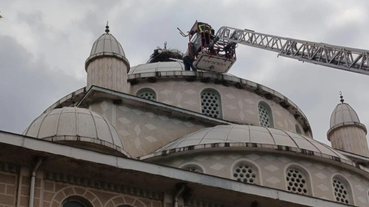 Cami kubbesinde ayağı sıkışan leylek kurtarıldı