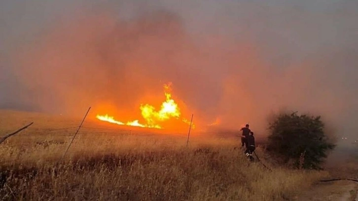 Çanakkale'de tarım arazisinde yangın