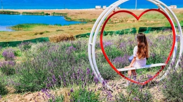 CHP lavanta bahçesini sattı: AK Parti'den sert tepki!