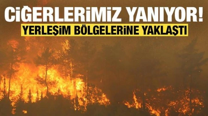 Ciğerlerimiz yanıyor: Hatay'daki orman yangını yerleşim yerlerine yaklaştı