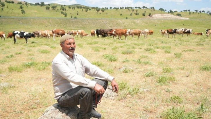 Çoban 1 milyon TL istedi! Köylü çözümü böyle buldu