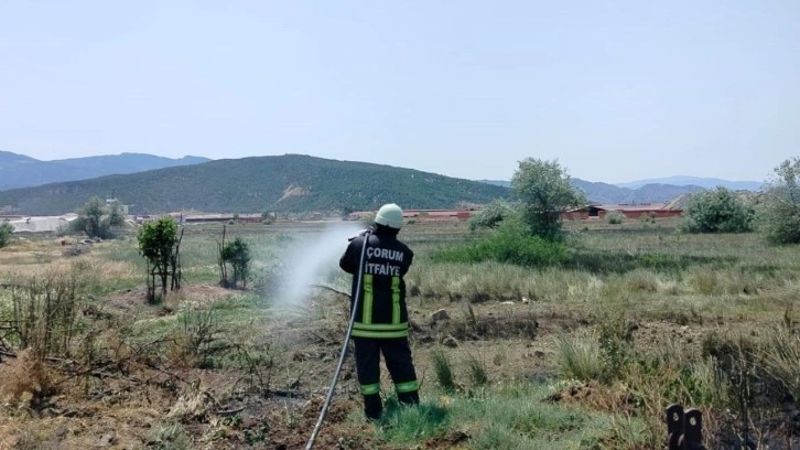 Çorum'da korkutan arazi yangını