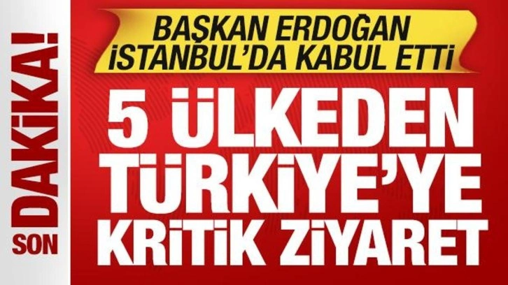 Cumhurbaşkanı Erdoğan İstanbul'da kabul etti: 5 &uuml;lkeden T&uuml;rkiye'ye kritik ziyaret