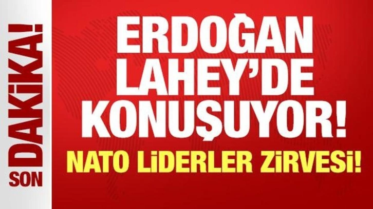 Cumhurbaşkanı Erdoğan Lahey'de açıklamalarda bulunuyor
