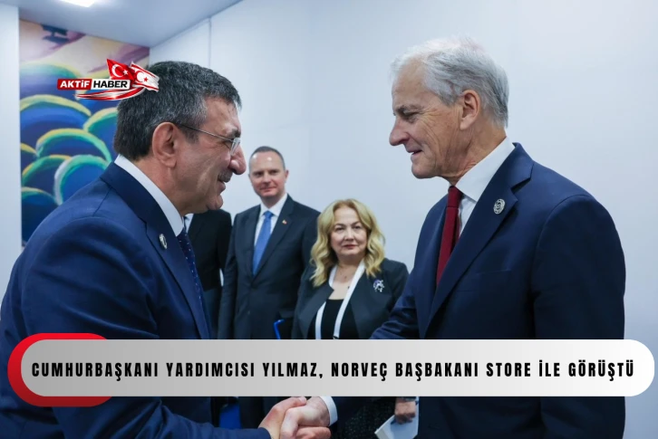 Cumhurbaşkanı Yardımcısı Yılmaz, Norve&ccedil; Başbakanı Store ile g&ouml;r&uuml;şt&uuml;