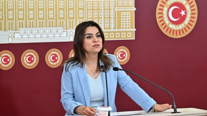 DEM'li Ko&ccedil;yiğit: "Silahların susması bir sonu&ccedil; değil, başlangı&ccedil;tır"