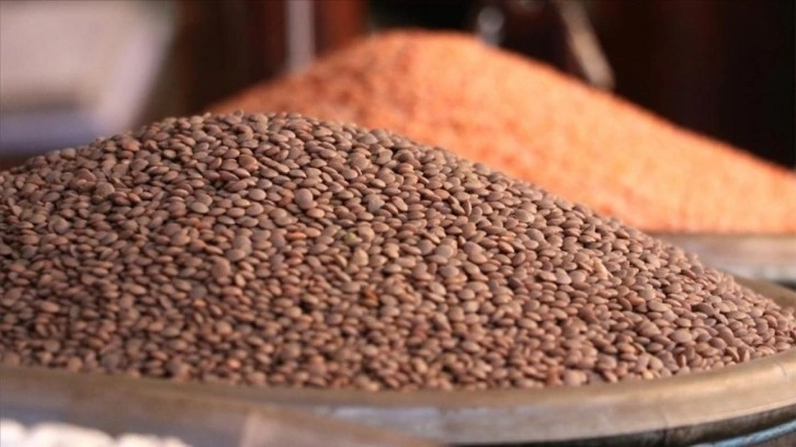 FAO: Küresel gıda fiyatları tahıl ve şeker fiyatlarındaki düşüşle mayısta geriledi