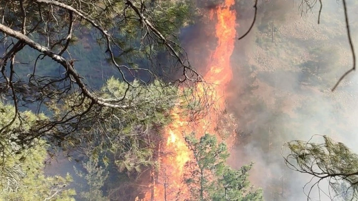 Hatay’ın Belen ilçesinde orman yangını