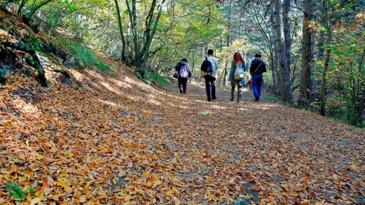 İki ilimizde ormanlara girişler yasaklandı