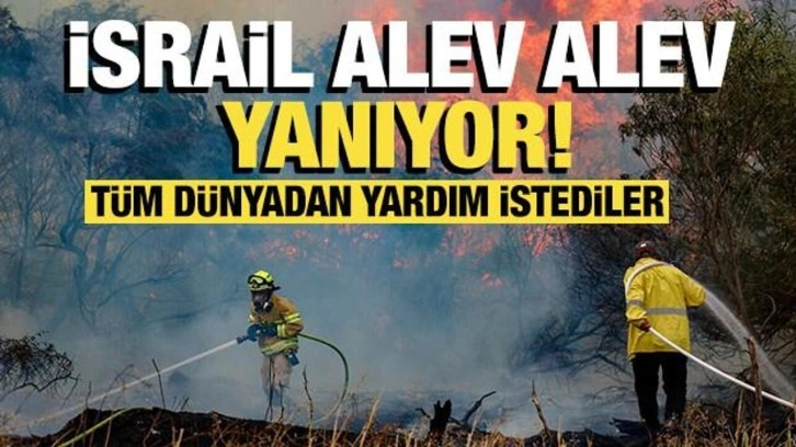 İsrail'deki tarihi yangın artarak devam ediyor: Tüm dünyadan yardım istediler!