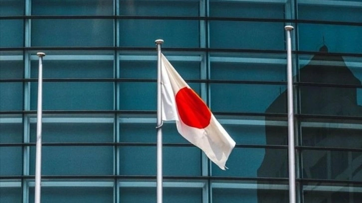 Japonya'da göçmen karşıtı partiden sürpriz çıkış