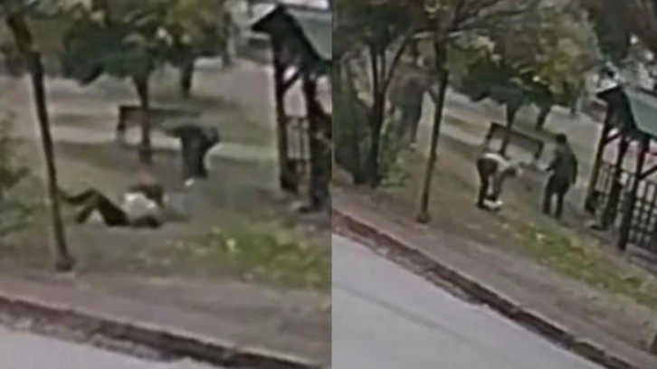 K&ouml;peğiyle y&uuml;r&uuml;y&uuml;şe &ccedil;ıkan kadına iki kurt k&ouml;peği saldırdı