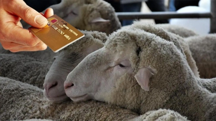 Kredi kartıyla kurban satın almak caiz midir? Din İşleri Yüksek Kurulu cevapladı