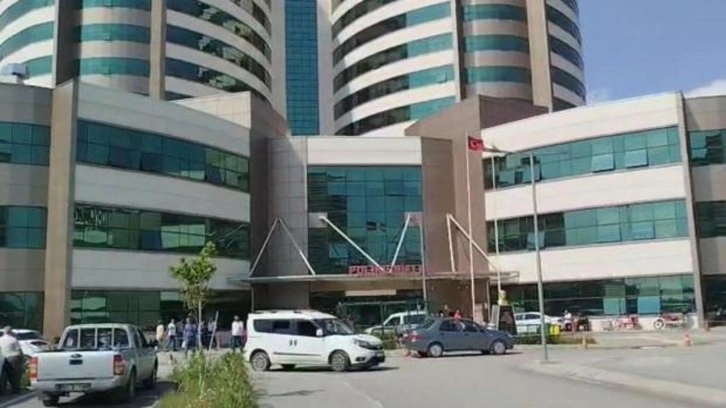 Mersin'de sokak k&ouml;peği dehşeti: 2 yaşındaki bebeğe saldırdı