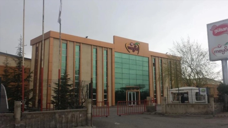 Meysu Gıda halka arz: Meysu Gıda lot miktarı, hisse fiyatı ne kadar?