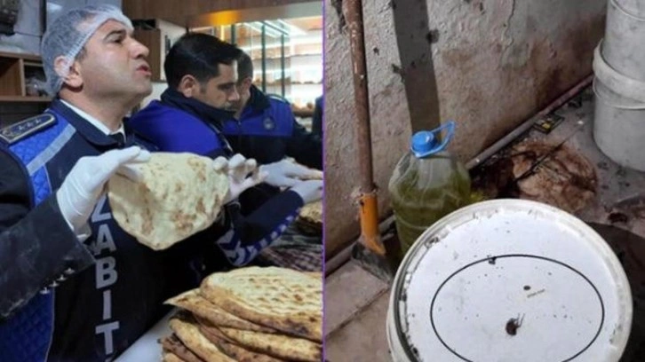 Mide bulandıran manzara: Fareyi geçtim, yılan çıkacak diye korkuyorum