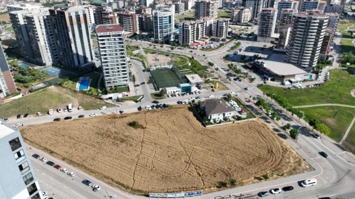 Milyon dolarlık gökdelenlerin yanında buğday tarlasında hasat