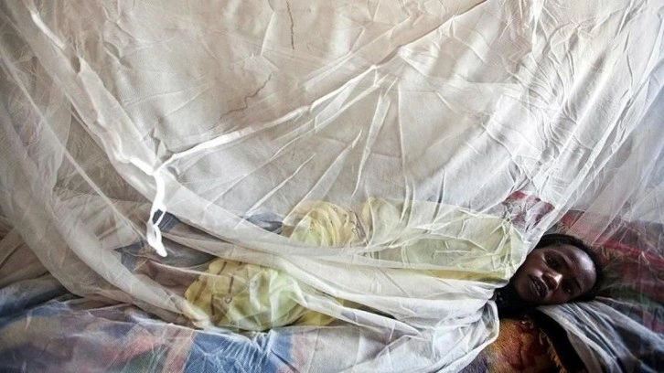 Nijerya'da Lassa Ateşi ölümleri 142'ye yükseldi