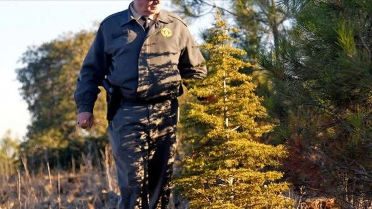 Orman Genel M&uuml;d&uuml;rl&uuml;ğ&uuml; 26 iş&ccedil;i istihdam edecek