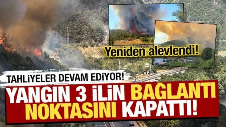 Orman yangınlarında son durum ne? İşte son gelişmeler...