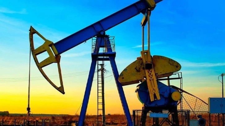 Petrol hakkına müteallik karar