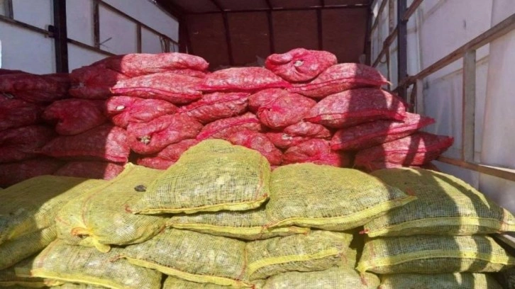 Sakarya’da 5,4 ton kaçan midye ele geçirildi: Değeri 3 milyon TL…
