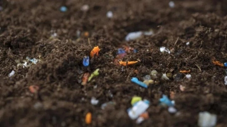 Salata değil, plastik yiyoruz! Tarım ürünlerindeki sessiz tehlike