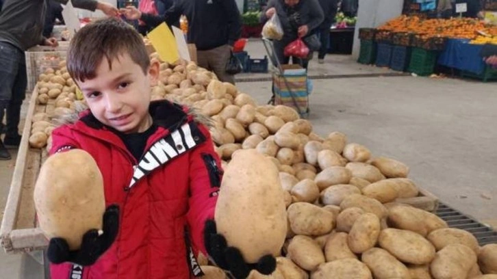 Sarıg&ouml;l pazarında dev patatesler ilgi odağı oldu