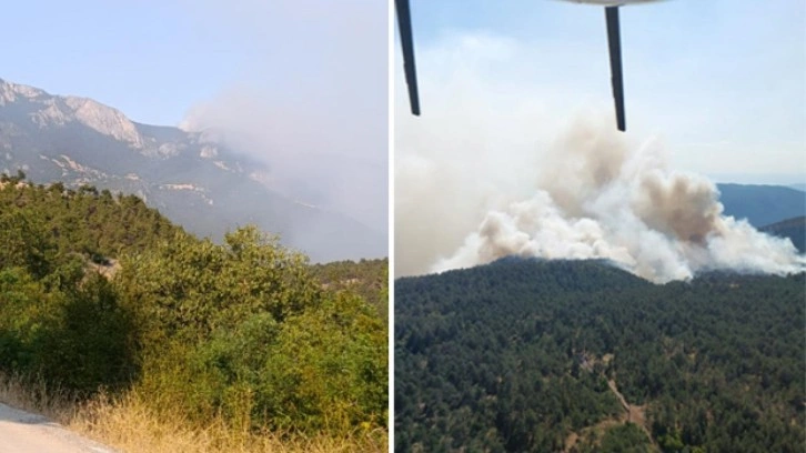 Sinop'ta orman yangını! Köy tahliye edildi