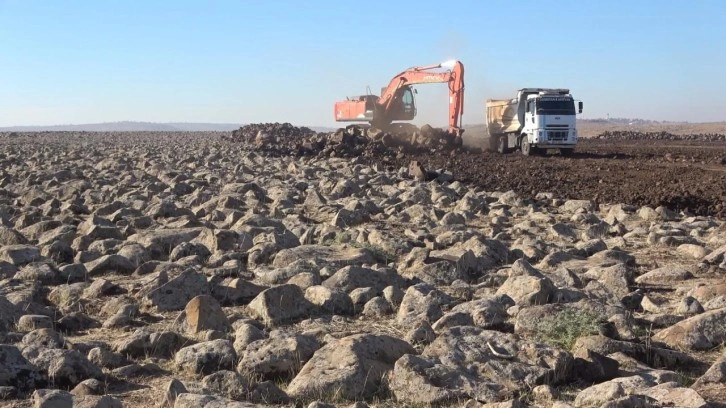 Şırnak&rsquo;ta atıl araziler milli servete d&ouml;n&uuml;şt&uuml;