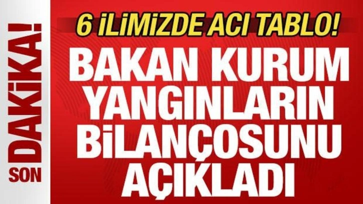 Son dakika: 6 ilimizde acı tablo! Bakan Kurum orman yangınlarının bilançosunu açıkladı