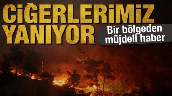 Son dakika: Orman yangınlarında son durum! Çeşme'deki yangın kontrol altında