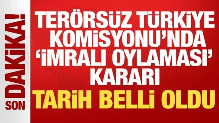 Terörsüz Türkiye Komisyonu'nda ‘İmralı oylaması’ kararı: Tarihi belli oldu!
