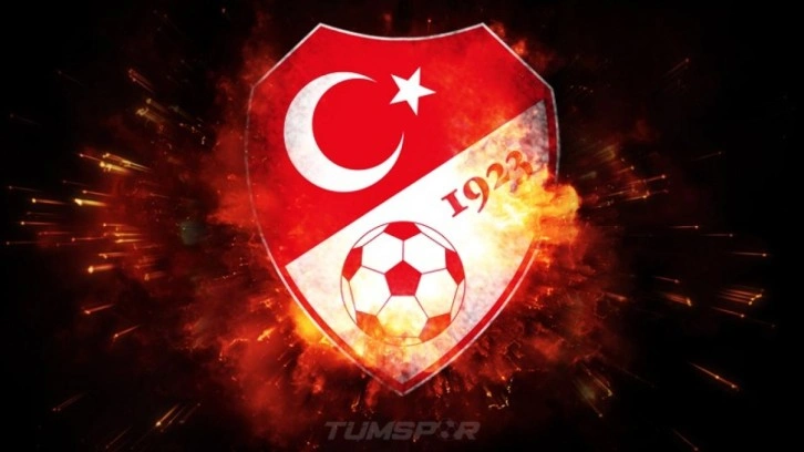 TFF bahis oynayan 30 g&ouml;zlemciyi PFDK'ya sevk etti