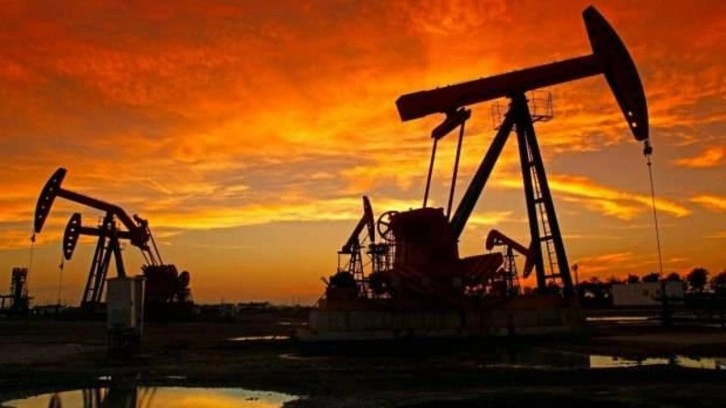 Türkiye'ye petrol, doğal gaz ve madencilik çağrısı! Trilyon dolarlık fırsat