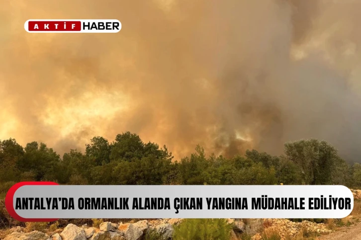 Antalya'da ormanlık alanda çıkan yangına müdahale ediliyor...