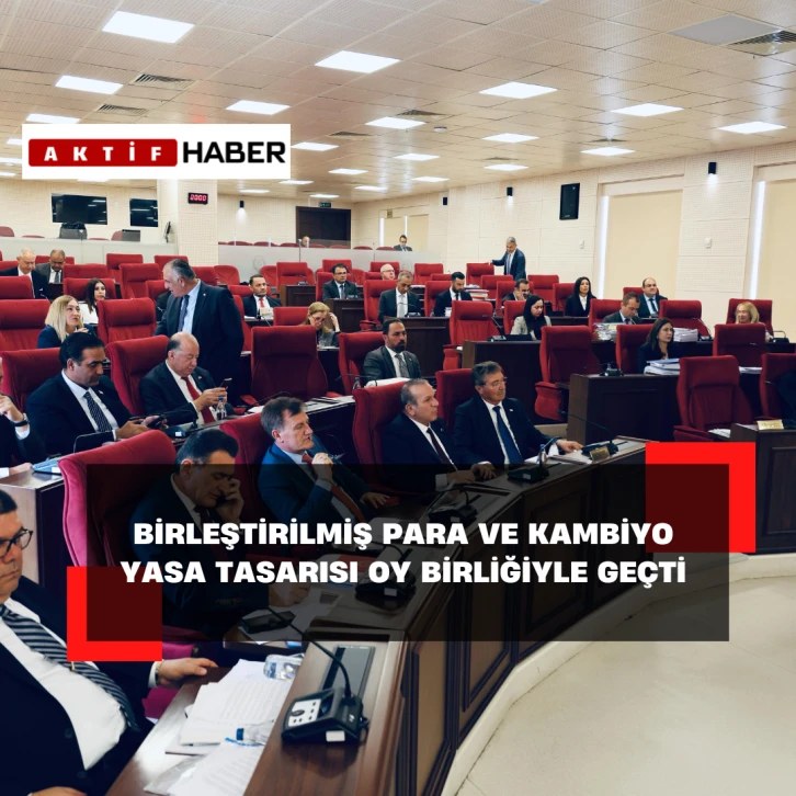 “Birleştirilmiş Para ve Kambiyo (Değişiklik) Yasa Tasarısı” oy birliğiyle geçti