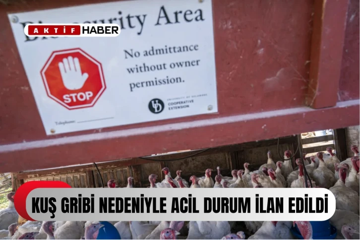 California’da artan kuş gribi vakaları nedeniyle "acil durum" ilan edildi
