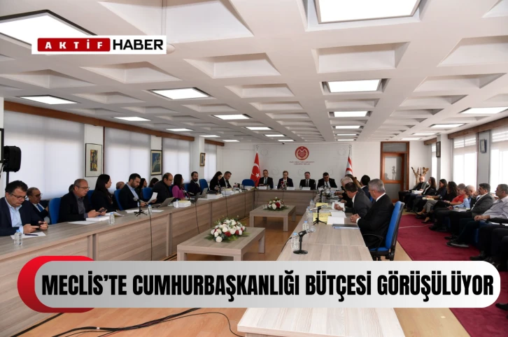 Komitede Cumhurbaşkanlığı bütçesi görüşülüyor...