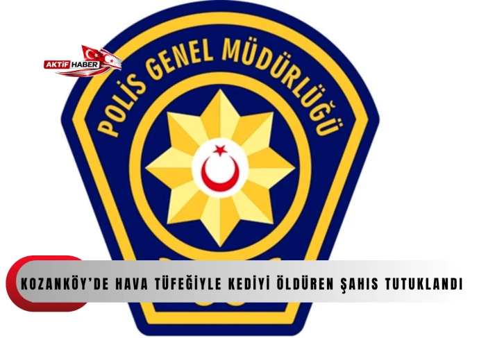 Kozank&ouml;y&rsquo;de hava t&uuml;feğiyle kediyi &ouml;ld&uuml;ren şahıs tutuklandı...